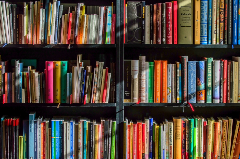 magasin-BLAUSASC-min_books_bookstore_book_reading_shop_writer_sale_books_read-822866
